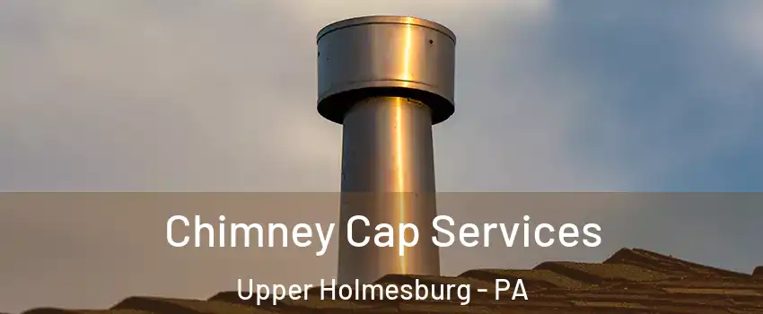 Chimney Cap Services Upper Holmesburg - PA
