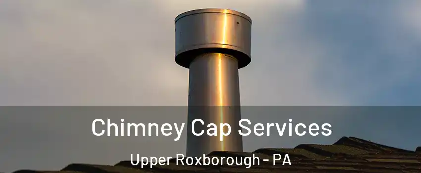 Chimney Cap Services Upper Roxborough - PA