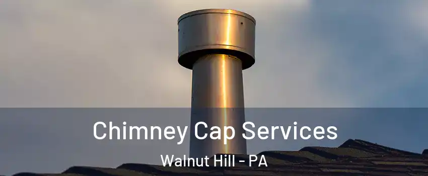 Chimney Cap Services Walnut Hill - PA