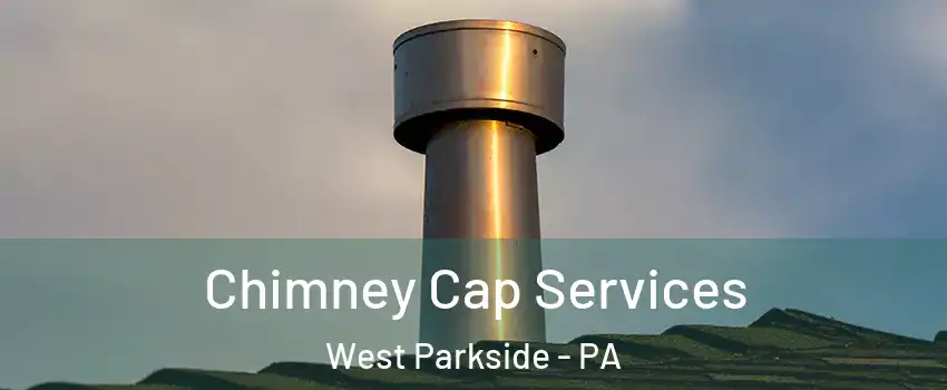 Chimney Cap Services West Parkside - PA
