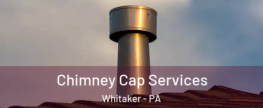 Chimney Cap Services Whitaker - PA