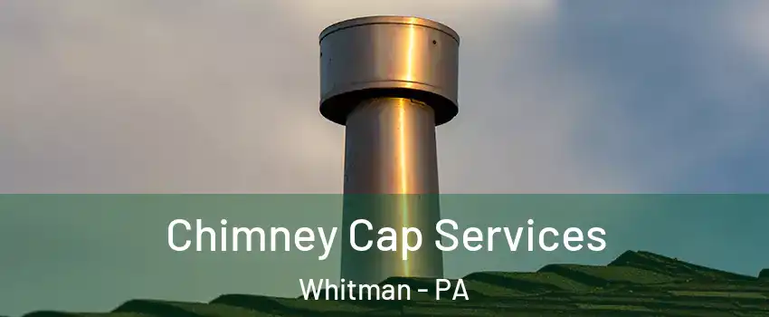 Chimney Cap Services Whitman - PA