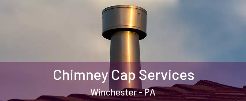 Chimney Cap Services Winchester - PA