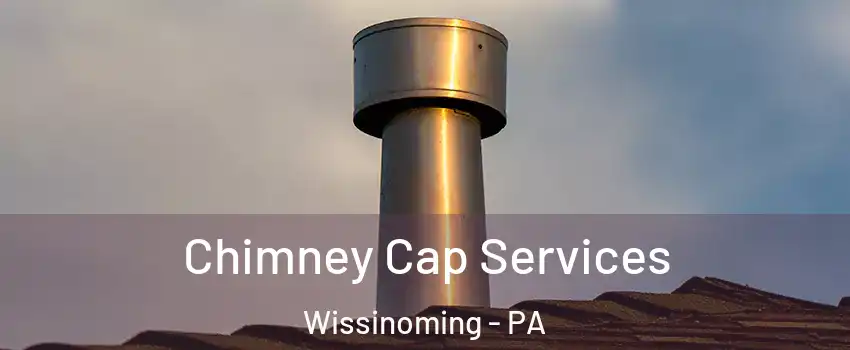 Chimney Cap Services Wissinoming - PA