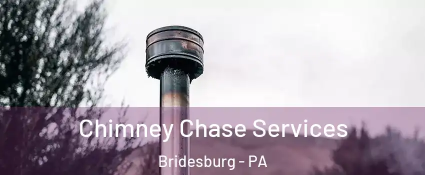 Chimney Chase Services Bridesburg - PA