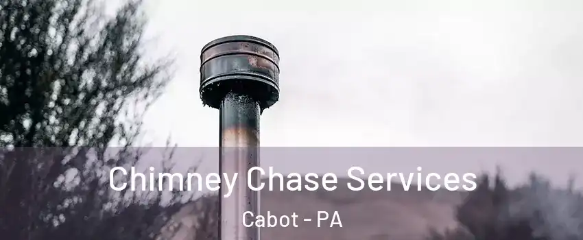 Chimney Chase Services Cabot - PA