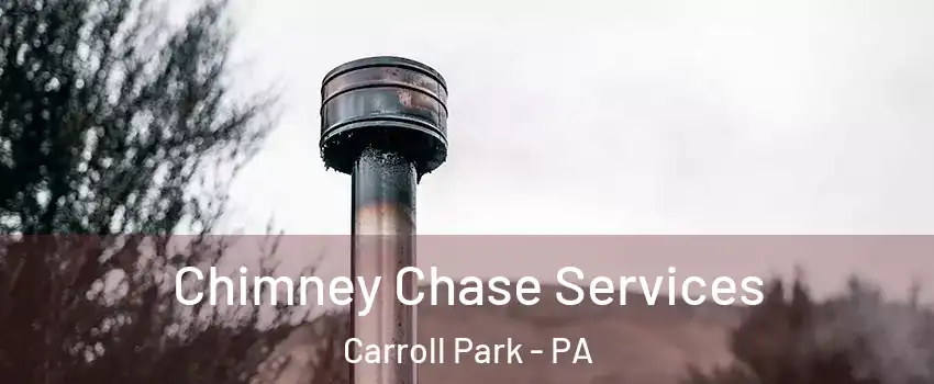 Chimney Chase Services Carroll Park - PA