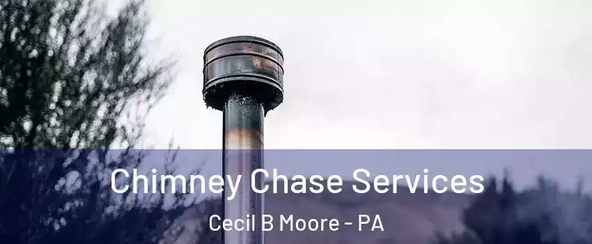 Chimney Chase Services Cecil B Moore - PA