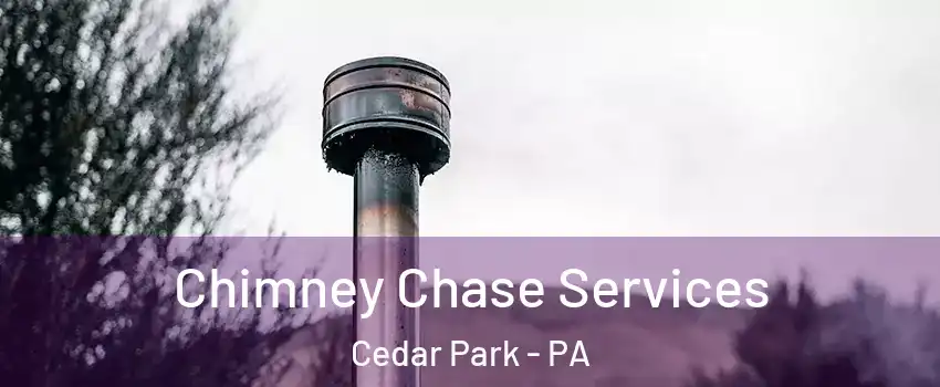 Chimney Chase Services Cedar Park - PA