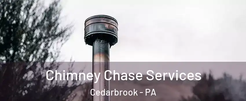 Chimney Chase Services Cedarbrook - PA