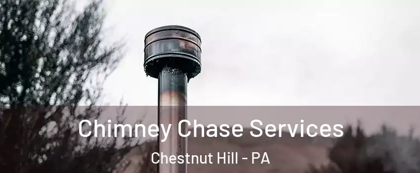 Chimney Chase Services Chestnut Hill - PA