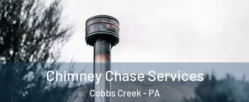 Chimney Chase Services Cobbs Creek - PA