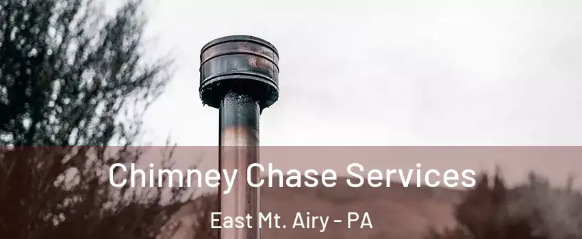 Chimney Chase Services East Mt. Airy - PA