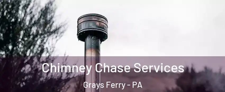 Chimney Chase Services Grays Ferry - PA