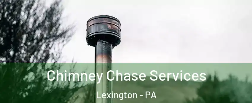 Chimney Chase Services Lexington - PA