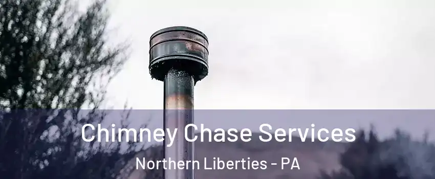 Chimney Chase Services Northern Liberties - PA