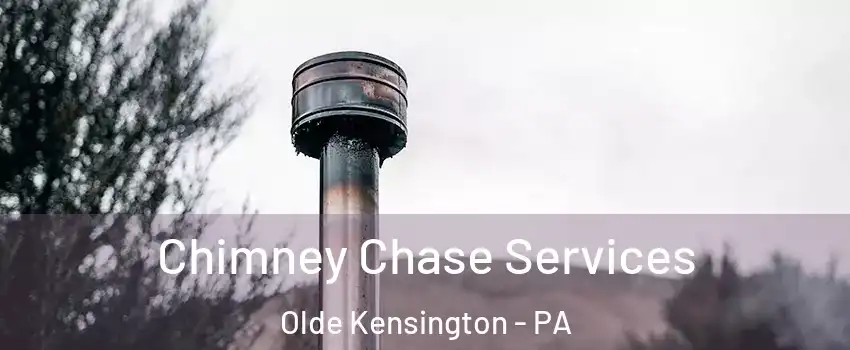 Chimney Chase Services Olde Kensington - PA