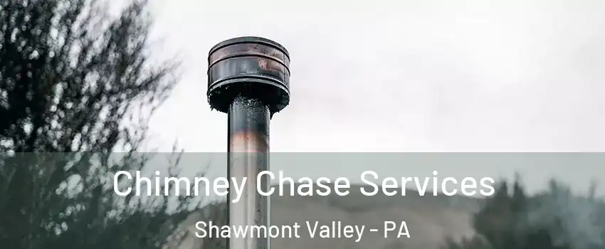Chimney Chase Services Shawmont Valley - PA