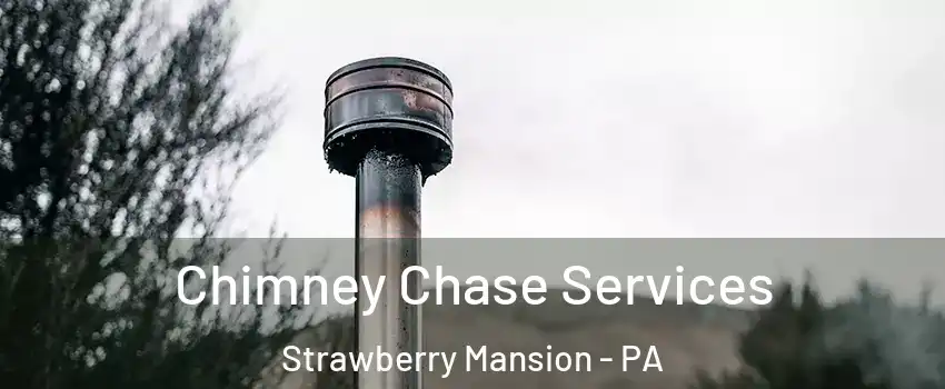 Chimney Chase Services Strawberry Mansion - PA