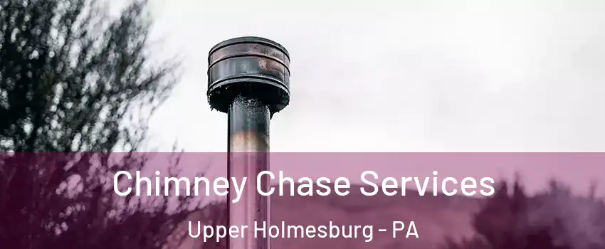 Chimney Chase Services Upper Holmesburg - PA