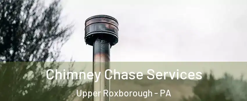 Chimney Chase Services Upper Roxborough - PA