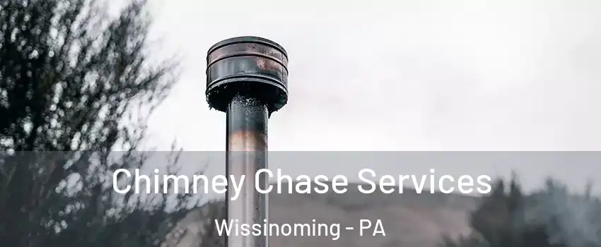 Chimney Chase Services Wissinoming - PA