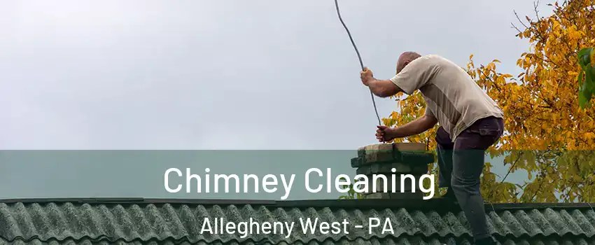 Chimney Cleaning Allegheny West - PA