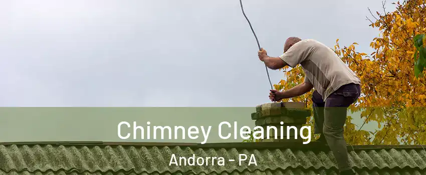 Chimney Cleaning Andorra - PA