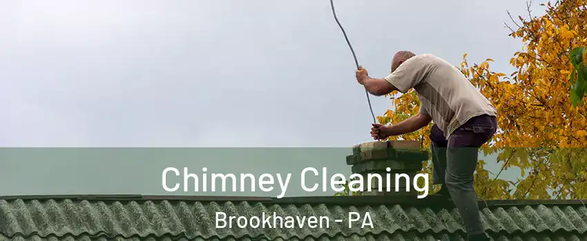 Chimney Cleaning Brookhaven - PA