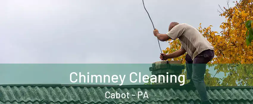 Chimney Cleaning Cabot - PA