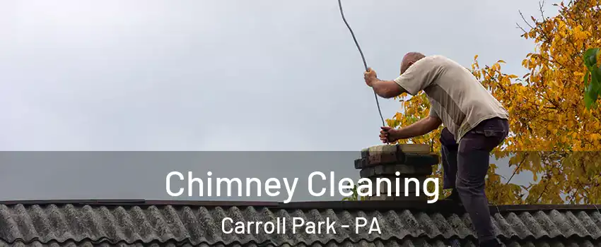 Chimney Cleaning Carroll Park - PA
