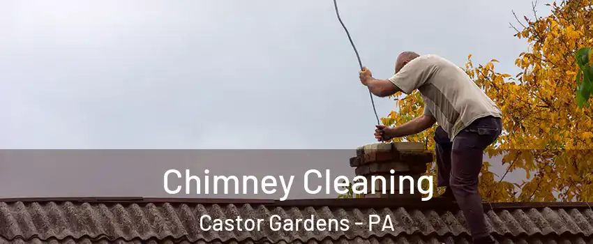 Chimney Cleaning Castor Gardens - PA