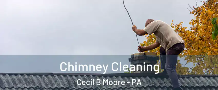 Chimney Cleaning Cecil B Moore - PA