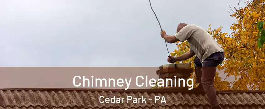 Chimney Cleaning Cedar Park - PA