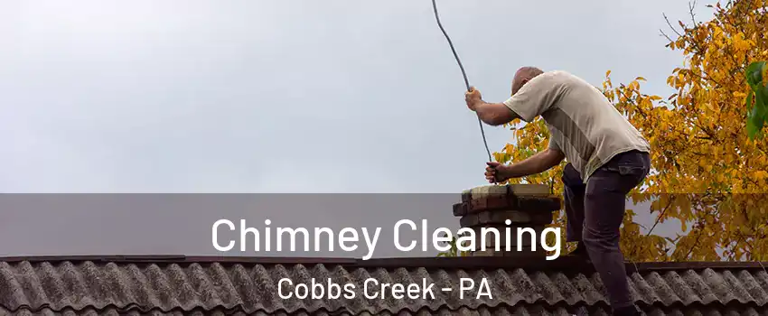 Chimney Cleaning Cobbs Creek - PA