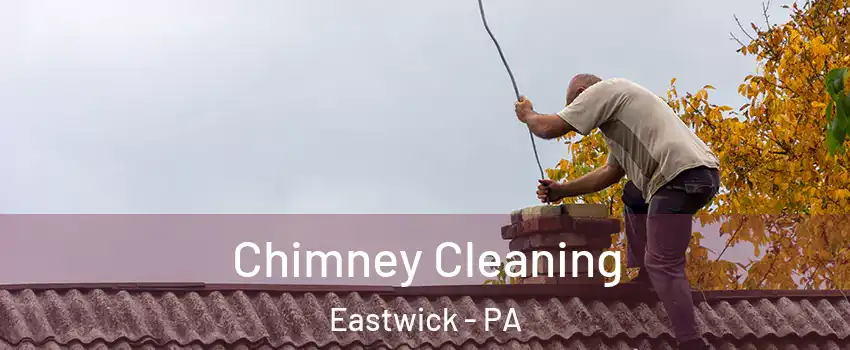 Chimney Cleaning Eastwick - PA