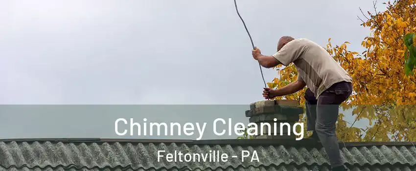 Chimney Cleaning Feltonville - PA