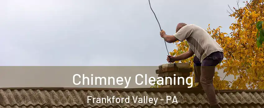 Chimney Cleaning Frankford Valley - PA
