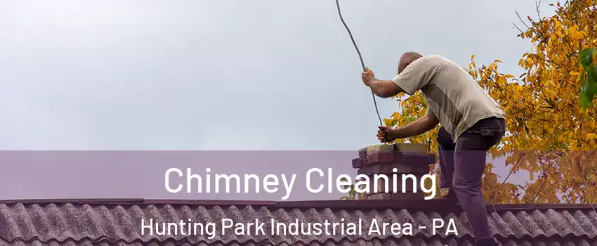 Chimney Cleaning Hunting Park Industrial Area - PA