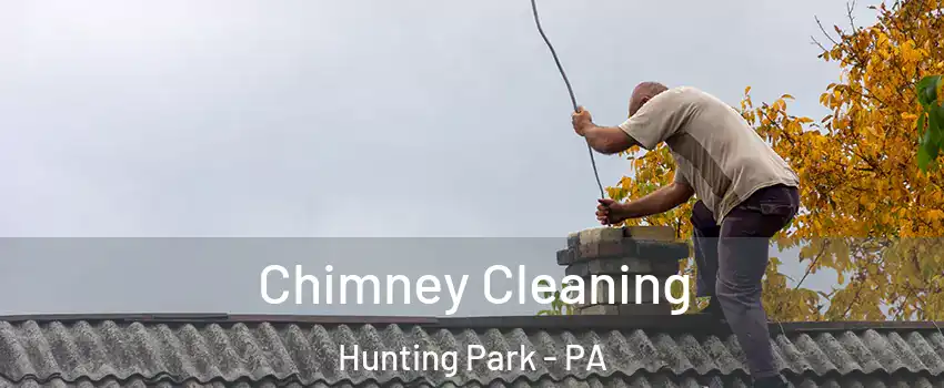 Chimney Cleaning Hunting Park - PA