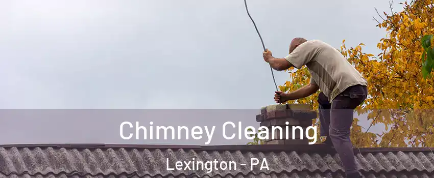 Chimney Cleaning Lexington - PA