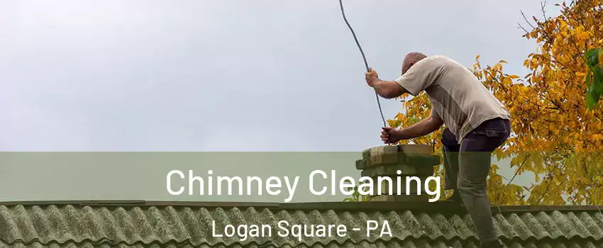 Chimney Cleaning Logan Square - PA