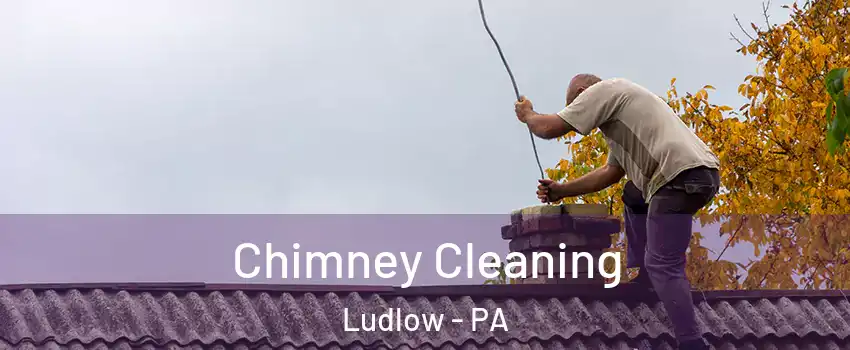 Chimney Cleaning Ludlow - PA