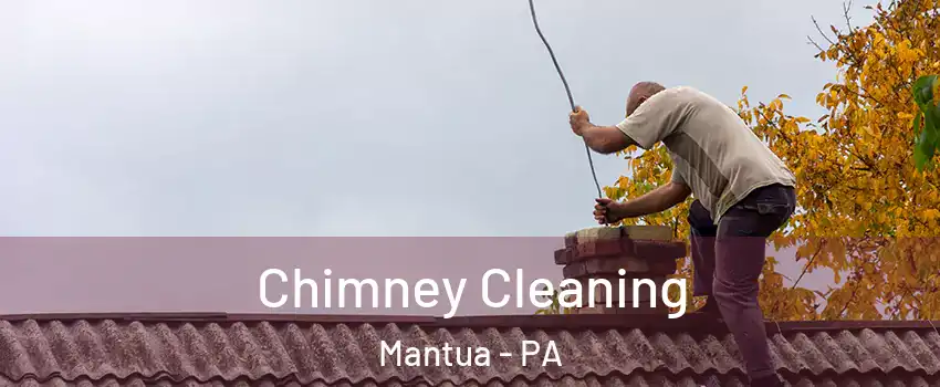 Chimney Cleaning Mantua - PA