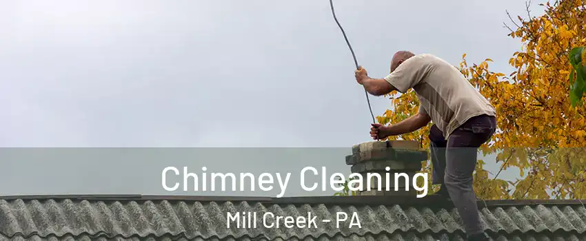 Chimney Cleaning Mill Creek - PA