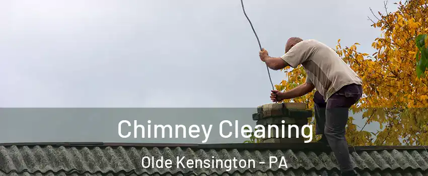 Chimney Cleaning Olde Kensington - PA