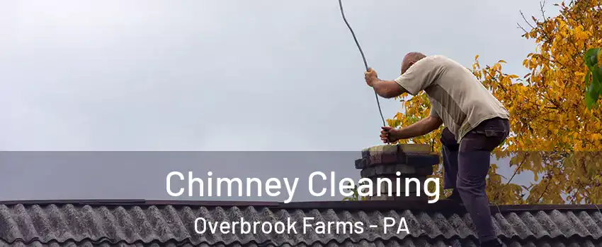 Chimney Cleaning Overbrook Farms - PA