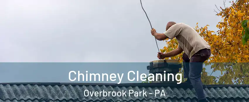 Chimney Cleaning Overbrook Park - PA