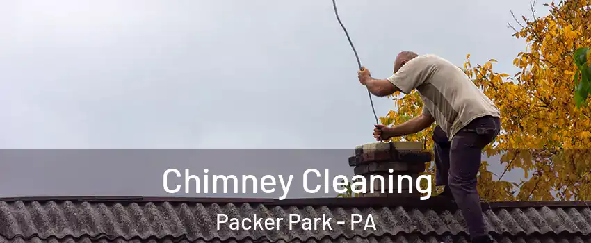 Chimney Cleaning Packer Park - PA