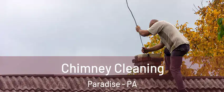 Chimney Cleaning Paradise - PA